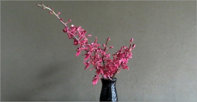 花瓶を郵送で安く送る発送方法と梱包方法 トリセド